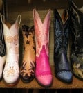 Boots für Cowgirls - in allen Farben